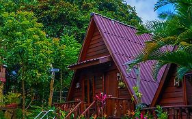 Mondulkiri Pizza Bungalows
